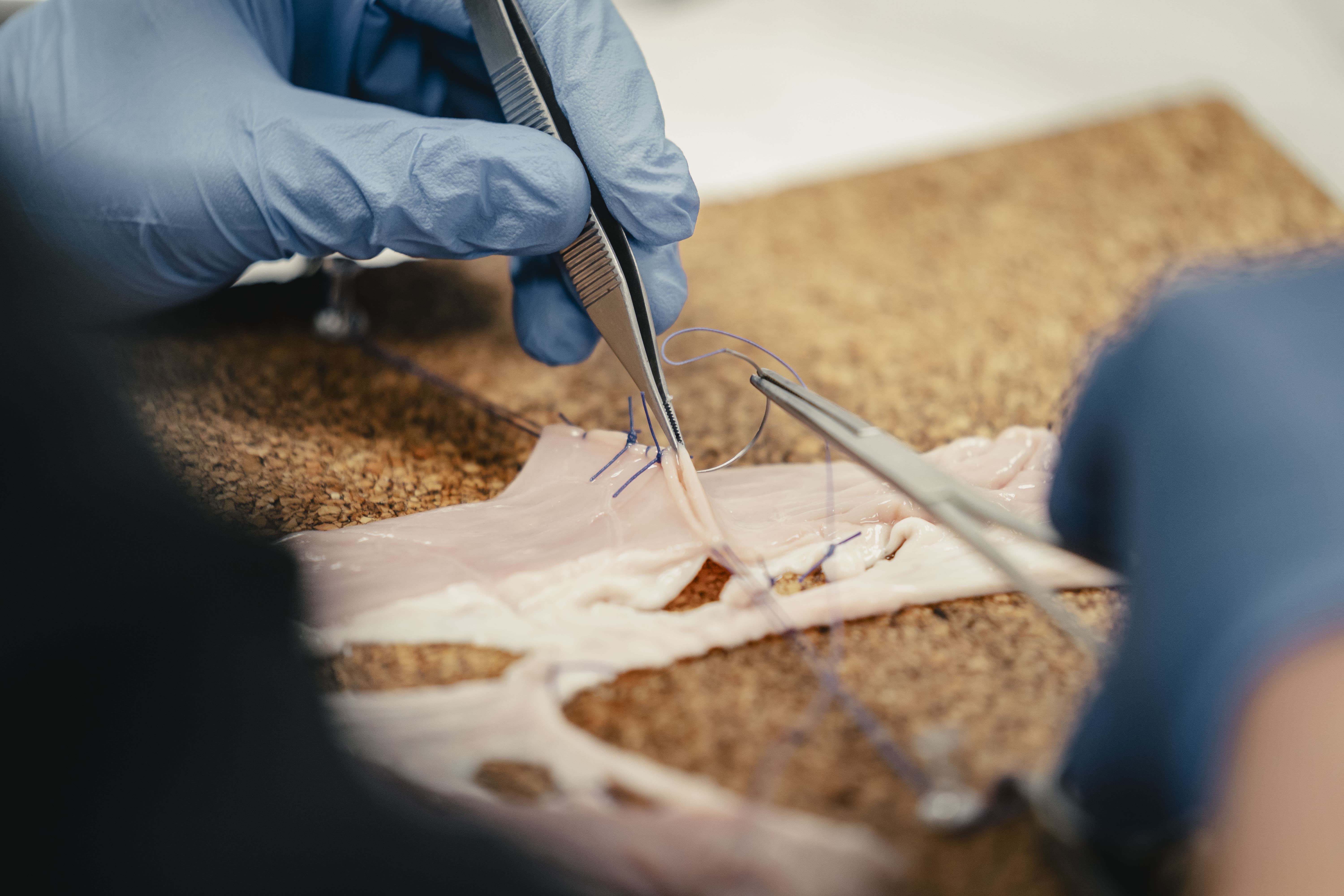 a close up of basic surgical skills course practical