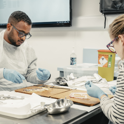 two people practicing basic surgical skills