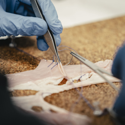 a close up of basic surgical skills course practical