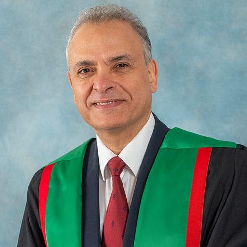 Professor Ashraf F Ayoub