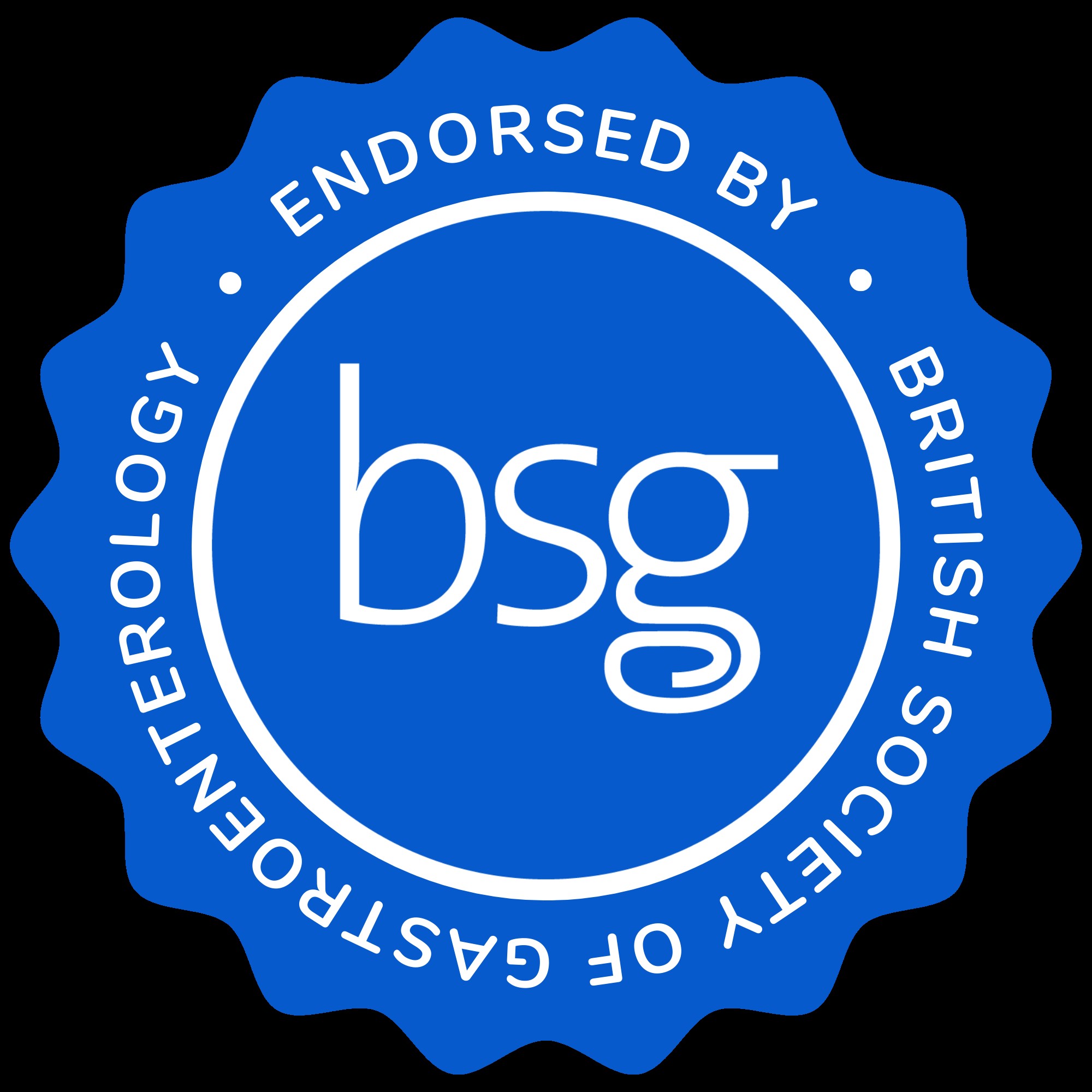 BSG Logo